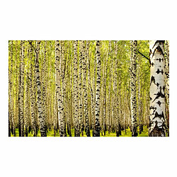 Paris Prix Papier Peint Forêt de Bouleaux II 450x270cm