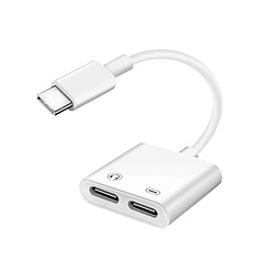 Avizar Adaptateur USB-C Mâle vers Double USB-C Femelle Audio et Charge Compact Blanc