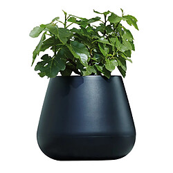 Avis ELHO Pot de fleur goutte en polyéthylène Pure - Noir - 45cm