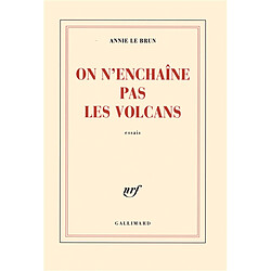 On n'enchaîne pas les volcans : essais