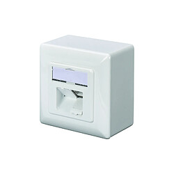 Digitus DN-9007-S-1 prise de courant 2 x RJ-45 Blanc