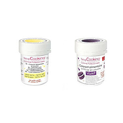 Scrapcooking 2 colorants alimentaires en poudre - violet-jaune pastel