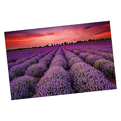 Acheter puzzle 1000 pièces adultes enfants bricolage puzzle cadeau champ de fleurs de lavande