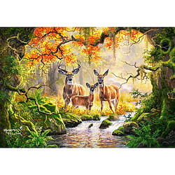 Castorland Puzzle 1000 pièces : Famille de cerfs