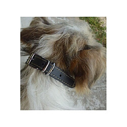 Cstore YAGO Collier en cuir Souple et Réglable pour moyen chien, taille M 34-40cm, Coloris Noir