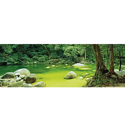 Schmidt Puzzle 1000 pièces panoramique Mark Gray : Mossman Gorge, Queensland Australie