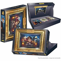 PANINI - Harry Potter 20 Ans Trading Cards - Coffret 21 Cartes + 1 Carte XXL + 1 Mini Livret