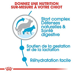 Avis Royal Canin Chien Maxi Starter