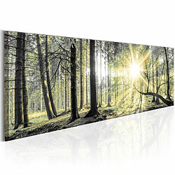 Paris Prix Tableau Imprimé Morning Forest 40 x 120 cm