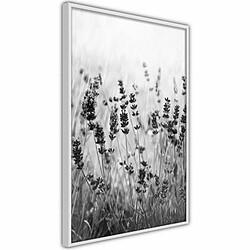 Paris Prix Affiche Murale Encadrée Shadow of Meadow 20 x 30 cm Blanc