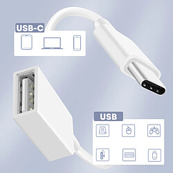 Acheter Adaptateur Câble OTG USB-C vers USB Longueur 15cm Max Excell Blanc