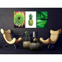 Paris Prix Tableau Treasures of the Tropics 3 Panneaux 60x120cm