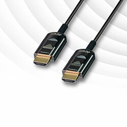 Câble HDMI Aten VE781010-AT Noir 10 m