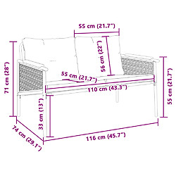 vidaXL Banc de jardin avec coussins 116 cm noir acier pas cher