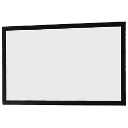 Toile 244 x 152 cm pour Ecran de projection sur Cadre celexon "Mobile Expert"