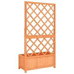 Acheter Maison Chic Jardinière,Bac à fleurs - pot de fleur à treillis jardin Marron 70x30x135 cm Bois de sapin -GKD35133