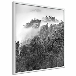 Paris Prix Affiche Murale Encadrée Foggy Forest 20 x 20 cm Blanc