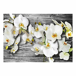 Paris Prix Papier Peint Callous Orchids III 140 x 200 cm