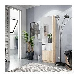 Meuble a chaussure - 1 porte 1 miroir - chene - L 50x P 22 x H180 cm - KRISTAL