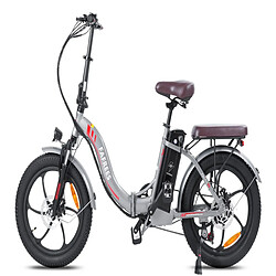 Avis Vélo Électrique FAFREES F20 Pro | Moteur 250W Batterie 648WH Autonomie 80KM | Gris