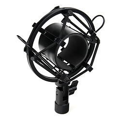 Microphone de chant