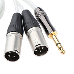 Avis Remplacement de câble audio mâle 6.35mm vers double xlr mâle pour pc 150