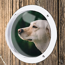 Acheter Durable Chien Clôture Fenêtre Ronde Transparent Acrylique Chien Dôme pour Clôture pour Voir Extérieur Pet Coup D'oeil Regarder Dehors Réduit Barking