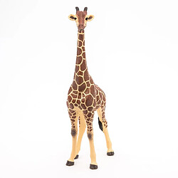 Acheter 50149 girafe mâle figurine papo