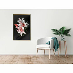 Paris Prix Affiche Murale Encadrée Pale Pink Lilies 40 x 60 cm Or