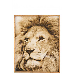 Dansmamaison Decoration Murale Lion Bois/Verre Marron