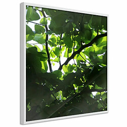 Paris Prix Affiche Murale Encadrée Under Cover of Leaves 20 x 20 cm Blanc