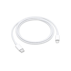 Apple Câble Lightning vers USB-C Charge et Synchronisation 1m Blanc