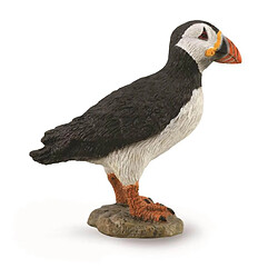 Figurines Collecta Figurine Animaux Marins (M):