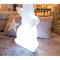 Avis Lapin lumineux blanc changement couleur LED