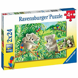 Ludendo Puzzles Ravensburger 2X24 Pièces - Mignons Koalas et Pandas