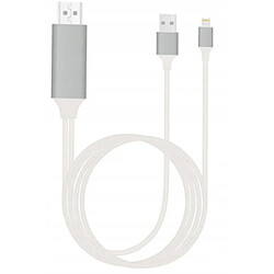 GUPBOO Adaptateur USB Câble Lightning HDMI iPhone iPad FHD 2,JL573