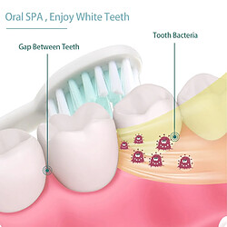 Avis Universal Brosse à dents acoustique Brosse à dents électrique pour adultes Remplacement d &'une tête de brosse électrique à ultrasons Brosse à dents Brosse électrique dentaire(blanche)