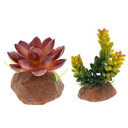 2Pack Plante Succulente Avec Ornement Vivarium Terrarium Vivarium Terrarium à Base De Résine