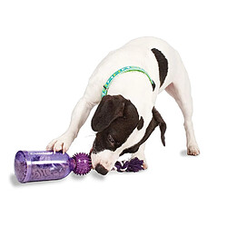 Acheter PetSafe - Jouet pour Chien Busy Buddy Tug-a-Jug (M/L), Corde à tirer, Jouet Distributeur de Croquettes, Friandises - pour Chien Moyen et Grand