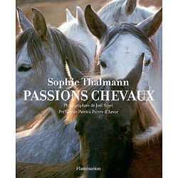 Passions chevaux