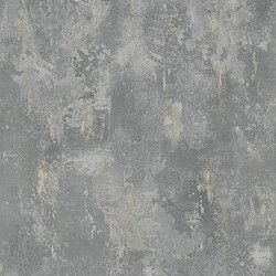 DUTCH WALLCOVERINGS Papier peint Gris-béton TP1008