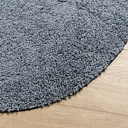 Avis vidaXL Tapis shaggy PAMPLONA poils longs moderne bleu Ø 100 cm