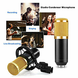 Acheter BM-800 Microphone À Condensateur Kit PC Streaming Cardioïde Micro USB Câble Filtre à la diffusion pour Baladeur