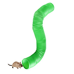 Avis Tube tunnel pour animaux de compagnie pour chats cochons d'Inde