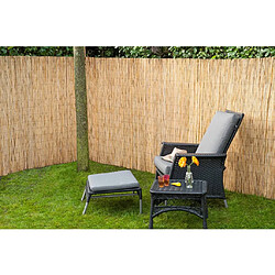 Nature Tapis de jardin roseau 1x5 m jonc bambou