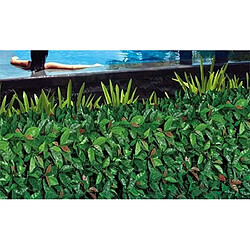 Jet7Garden Plaques clipsables de feuillage artificiel 3m² (Lot de 12) Red Robin.