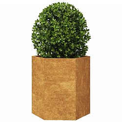 Acheter vidaXL Jardinières 2 pcs hexagone 46x40x45 cm acier corten