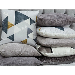 Beliani Lot de 2 coussins WEDELIA Coton 45 x 45 cm Géométrique Gris