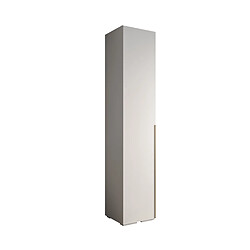 Abiks Meble Armoire Inova 1 À Portes Battantes 236,7/50/47 1 Portes (bianco/d’oro)