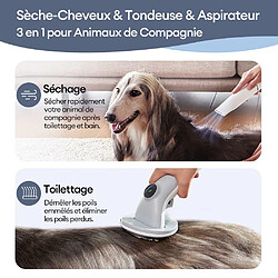 Accessoires toilettage pour chien